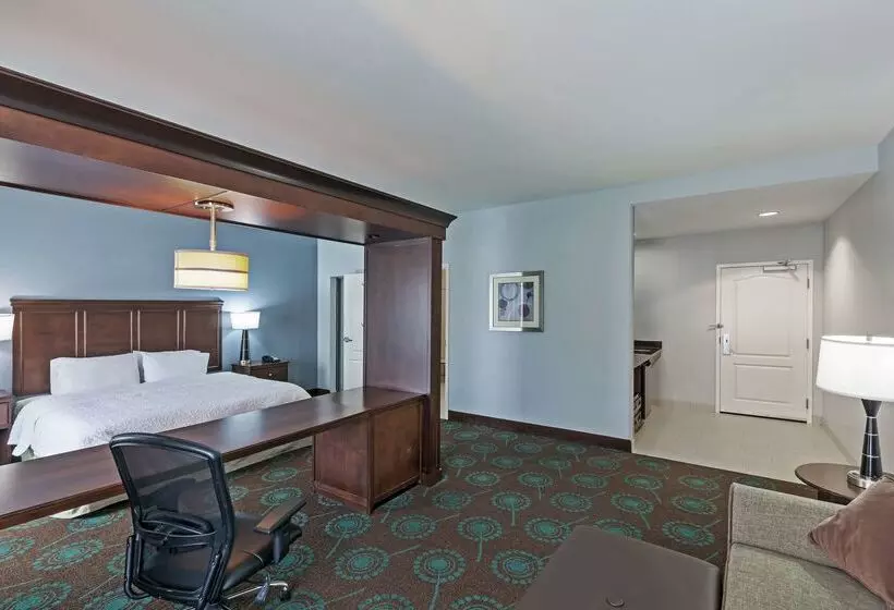 Отель Hampton Inn & Suites Shreveport/bossier City Airline Drive