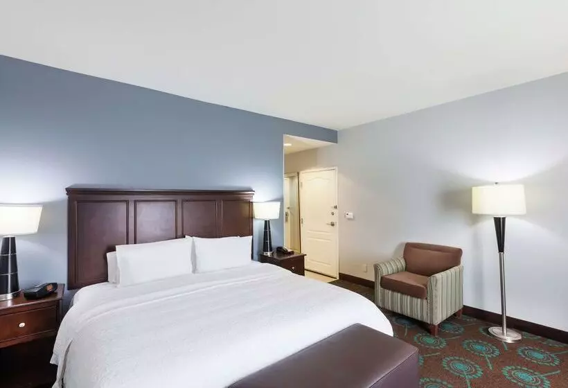 Отель Hampton Inn & Suites Shreveport/bossier City Airline Drive