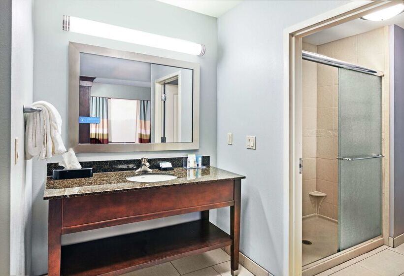 فندق Hampton Inn & Suites Shreveport/bossier City Airline Drive