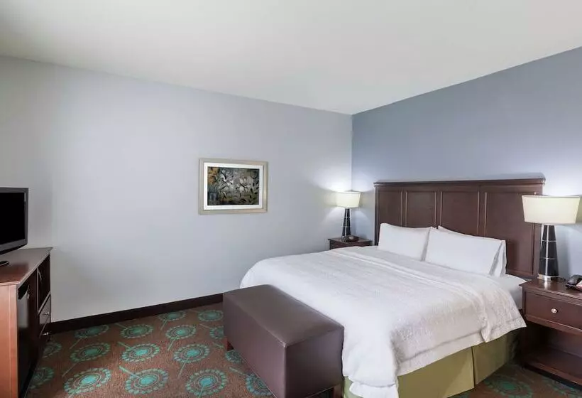 Отель Hampton Inn & Suites Shreveport/bossier City Airline Drive
