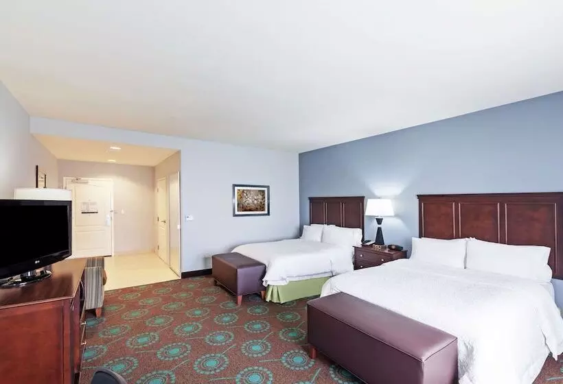 Отель Hampton Inn & Suites Shreveport/bossier City Airline Drive