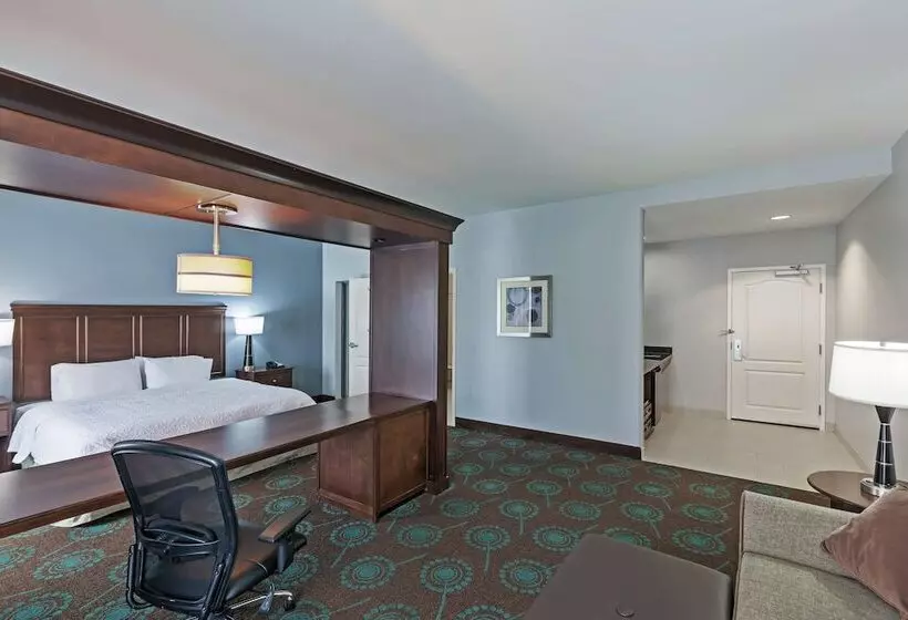 Отель Hampton Inn & Suites Shreveport/bossier City Airline Drive