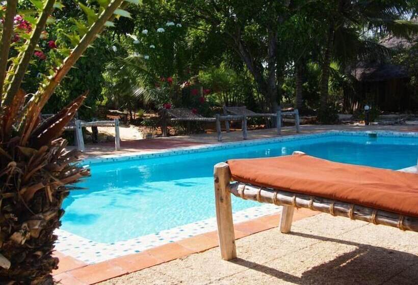 فندق Pakachi Beach Resort &