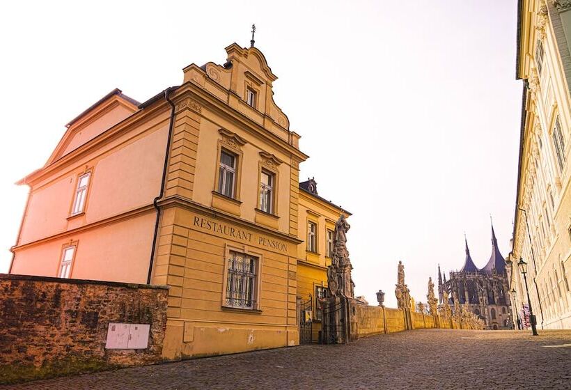 Hotel Vila U Varhanáře