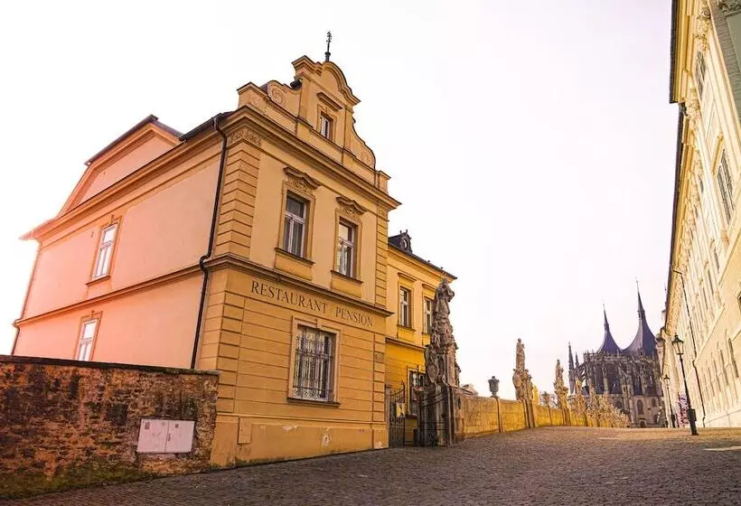 Hotel Vila U Varhanáře