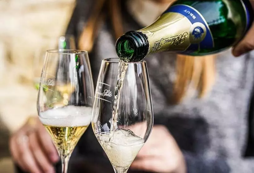 Hotel Vila U Varhanáře