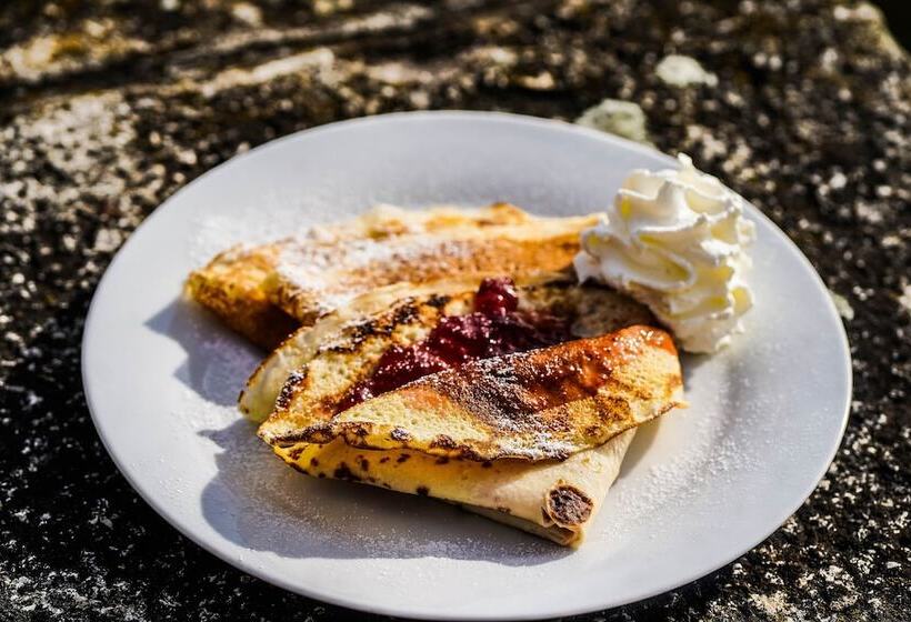 Hotel Vila U Varhanáře