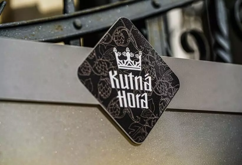 Hotel Vila U Varhanáře