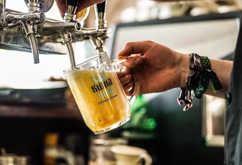 Hotel Vila U Varhanáře