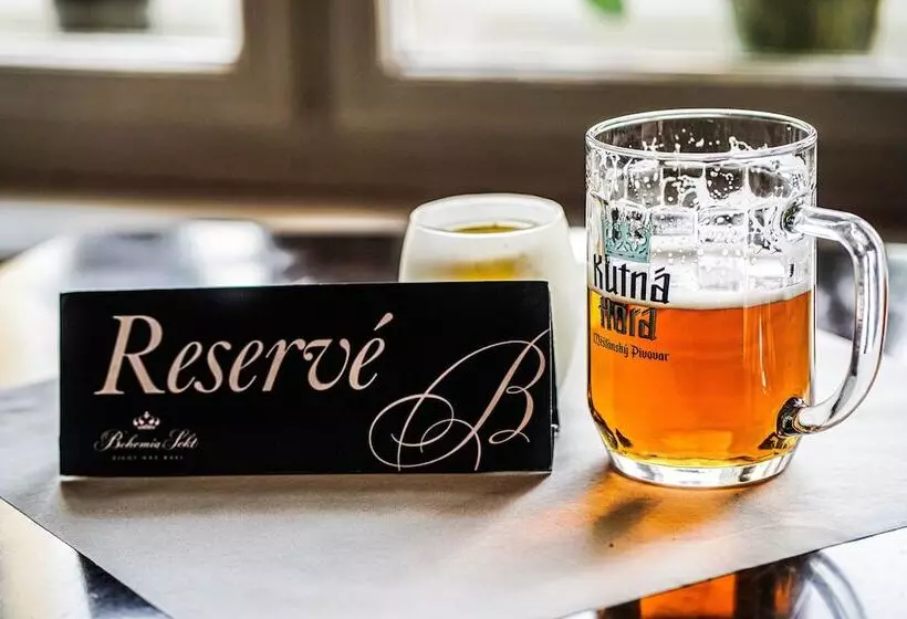 Hotel Vila U Varhanáře