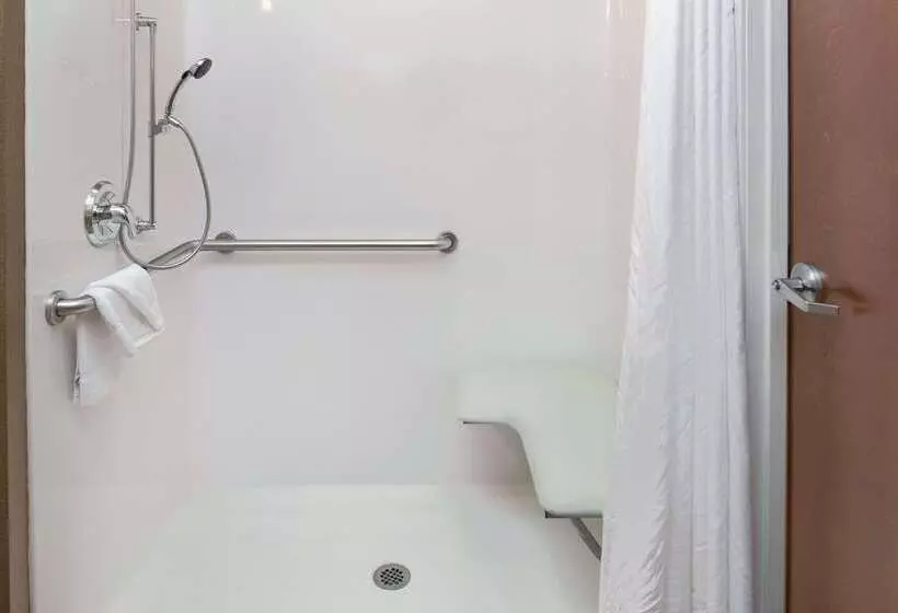 Microtel Inn & Suites By Wyndham Bluffs