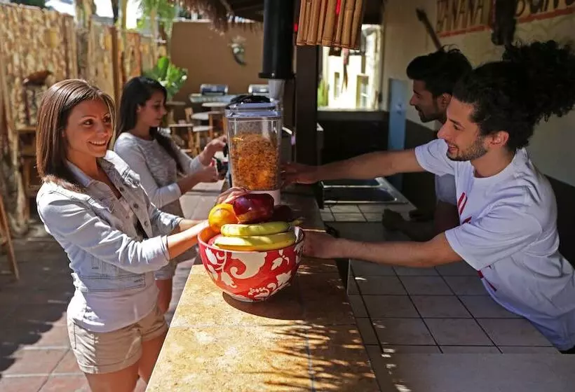 Banana Bungalow Hollywood Hotel & Hostel