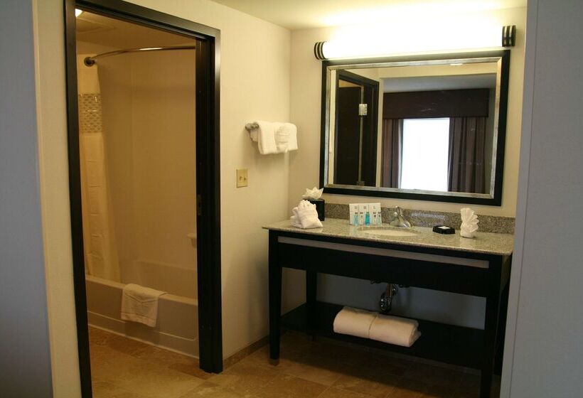 Hampton Inn & Suites Detroit / Airport   Romulus