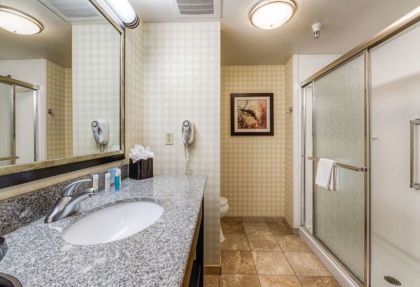 Hampton Inn & Suites Detroit / Airport   Romulus