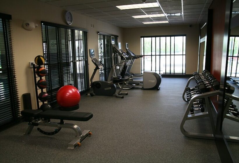 Hampton Inn & Suites Detroit / Airport   Romulus