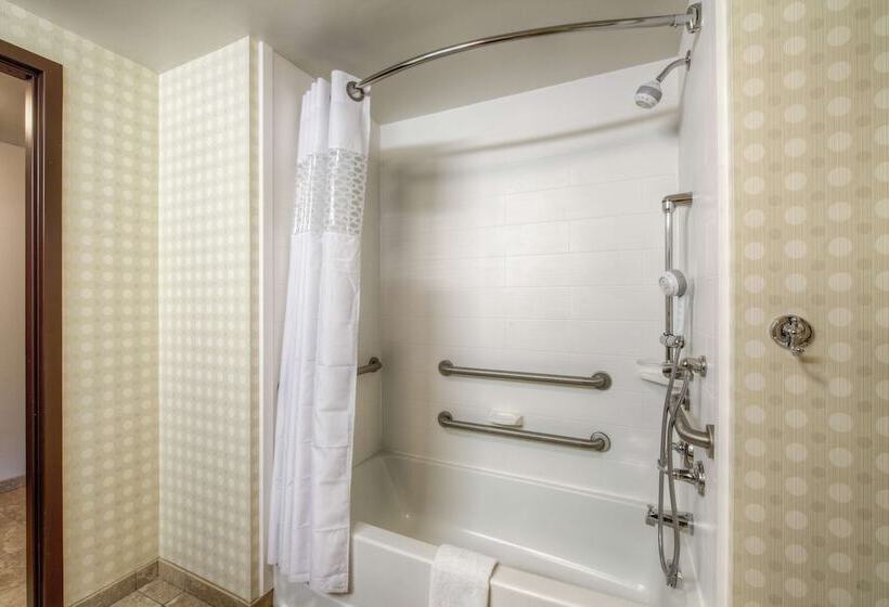 Hampton Inn & Suites Detroit / Airport   Romulus