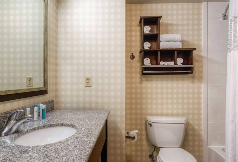 Hampton Inn & Suites Detroit / Airport   Romulus