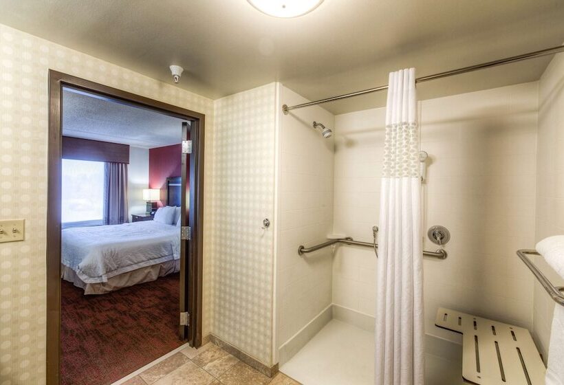 Hampton Inn & Suites Detroit / Airport   Romulus