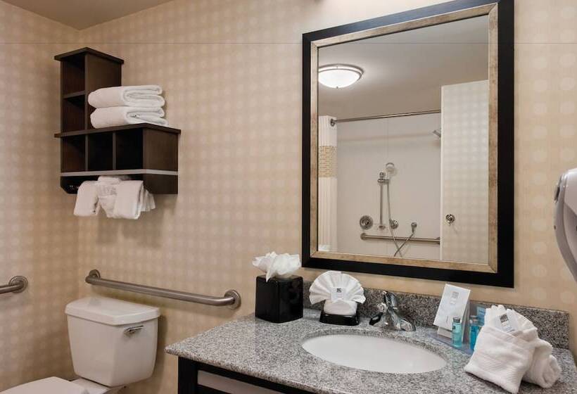 Hampton Inn & Suites Detroit / Airport   Romulus