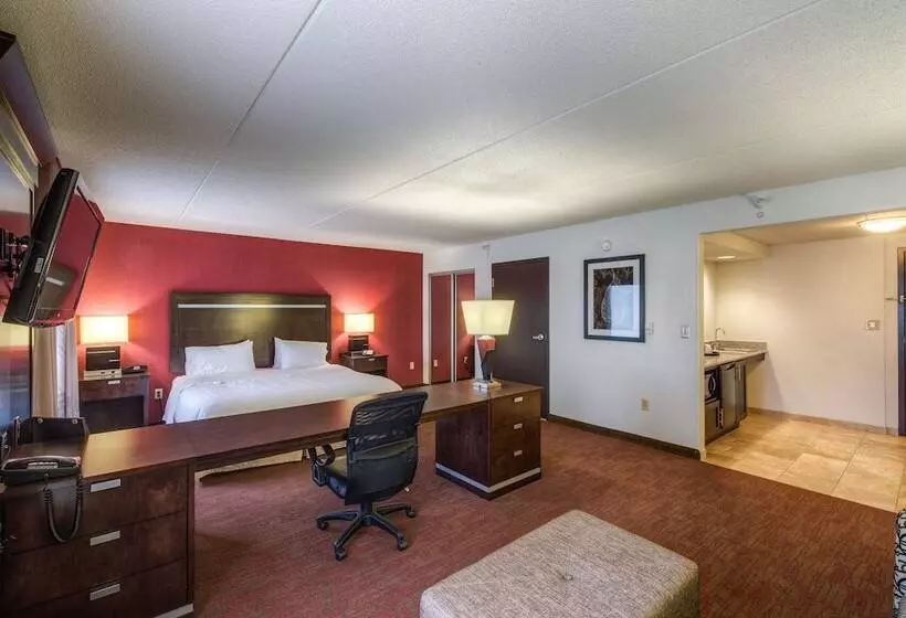 Hampton Inn & Suites Detroit / Airport   Romulus