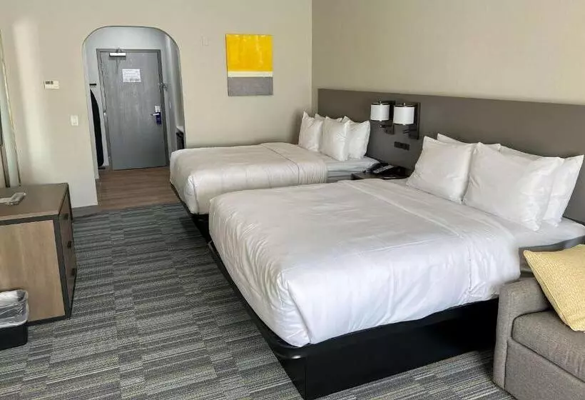 酒店 Comfort Inn & Suites