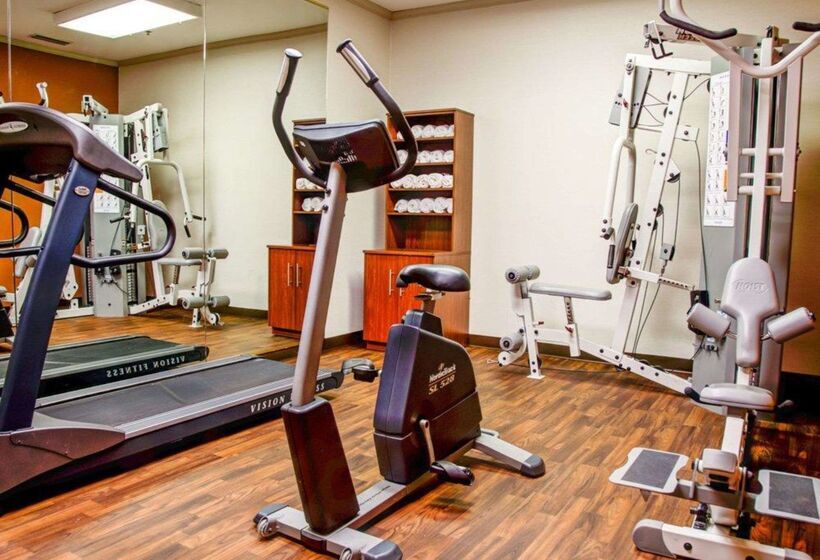 Отель Comfort Suites Gadsden Attalla