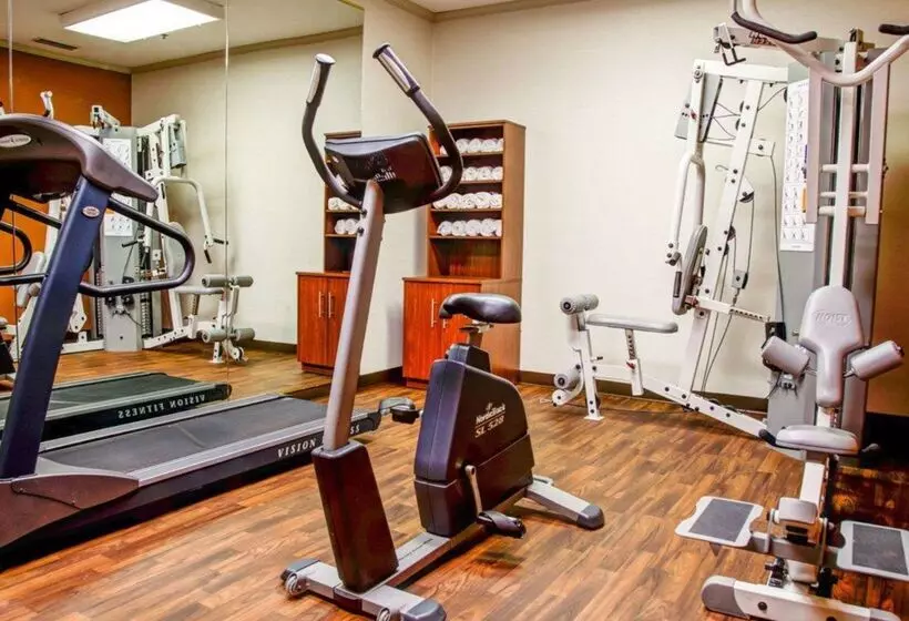 Отель Comfort Suites Gadsden Attalla