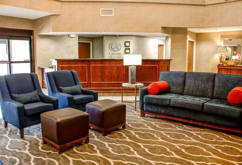 Отель Comfort Suites Gadsden Attalla