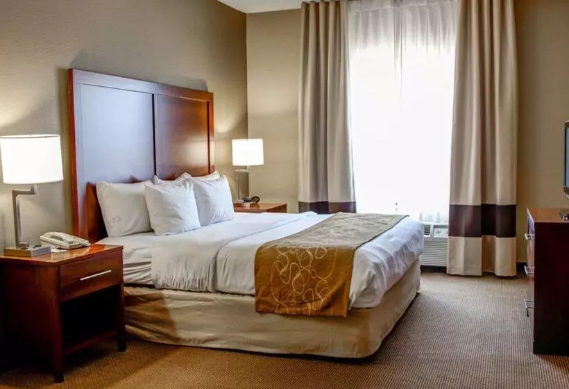 Отель Comfort Suites Gadsden Attalla