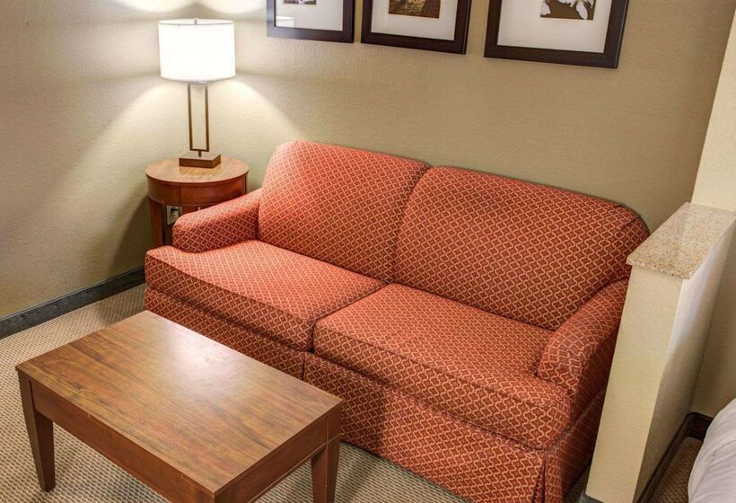 Отель Comfort Suites Gadsden Attalla