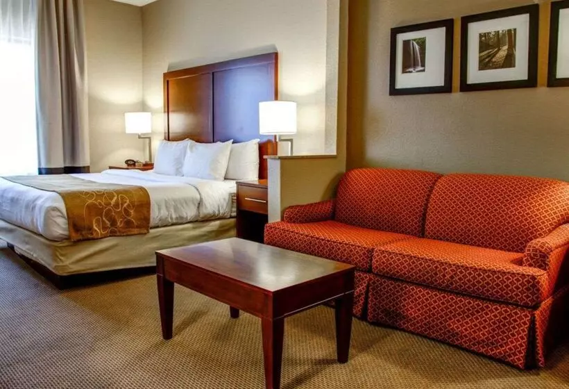 Отель Comfort Suites Gadsden Attalla