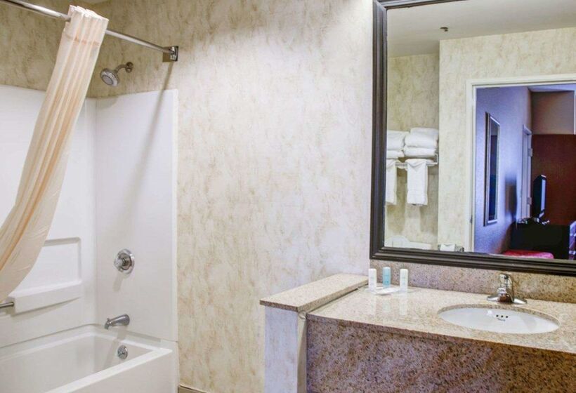 Отель Comfort Suites Gadsden Attalla