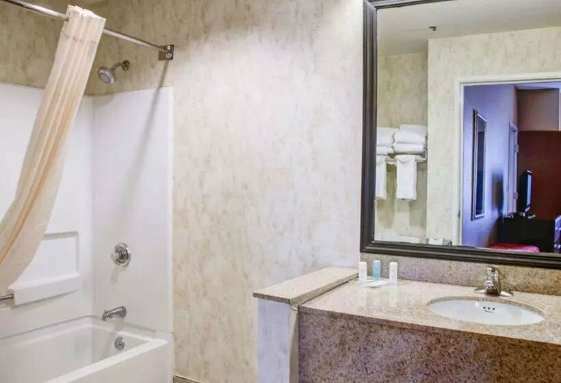 Отель Comfort Suites Gadsden Attalla