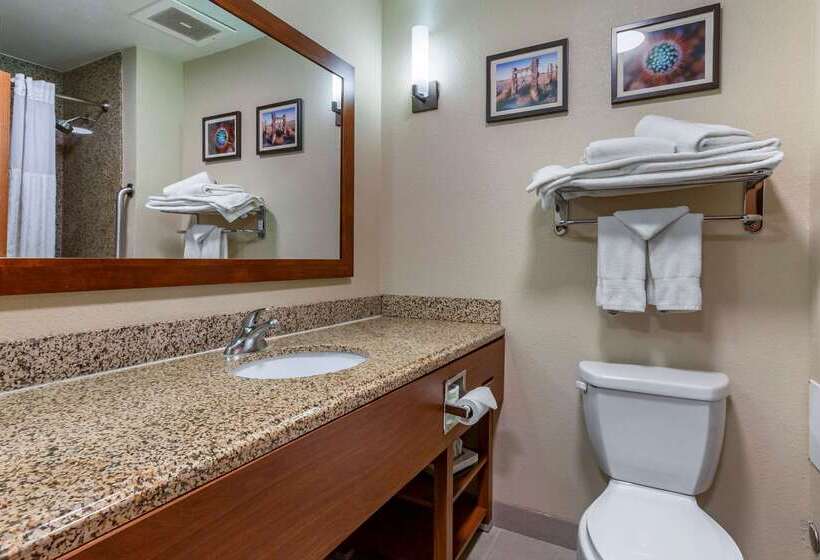 Отель Comfort Suites