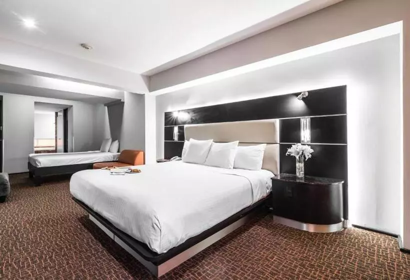 בית מלון כפרי Exe Cities Reforma