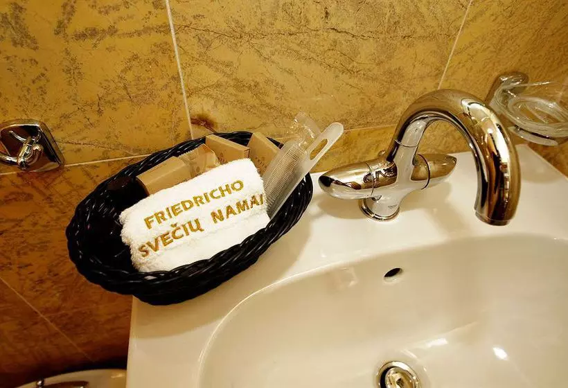 Отель Friedrich Guesthouse