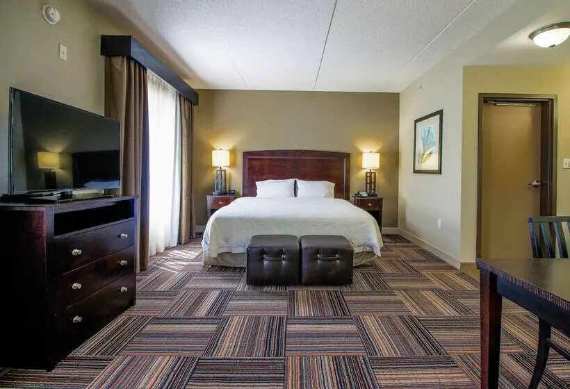 Отель Hampton Inn & Suites By Hilton Flowery Branch Lake Lanier