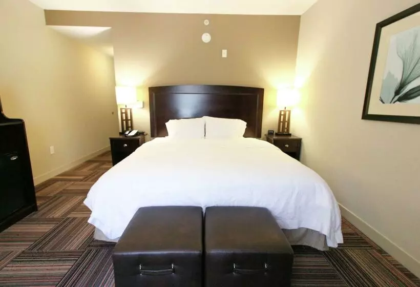 Отель Hampton Inn & Suites By Hilton Flowery Branch Lake Lanier