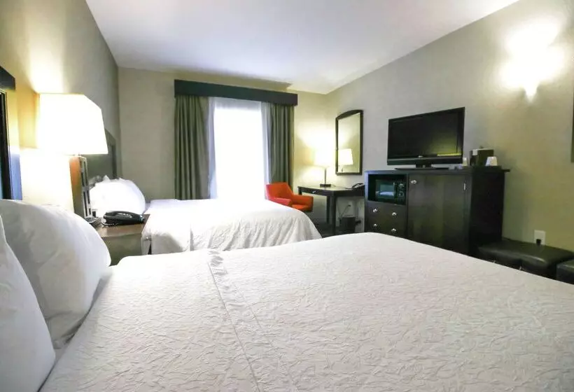 Отель Hampton Inn & Suites By Hilton Flowery Branch Lake Lanier