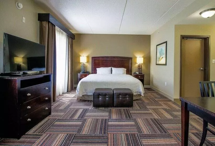 Отель Hampton Inn & Suites By Hilton Flowery Branch Lake Lanier
