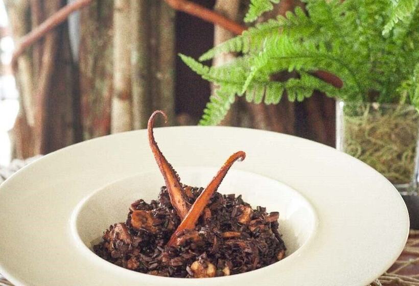 ホテル Pousada Tabajuba