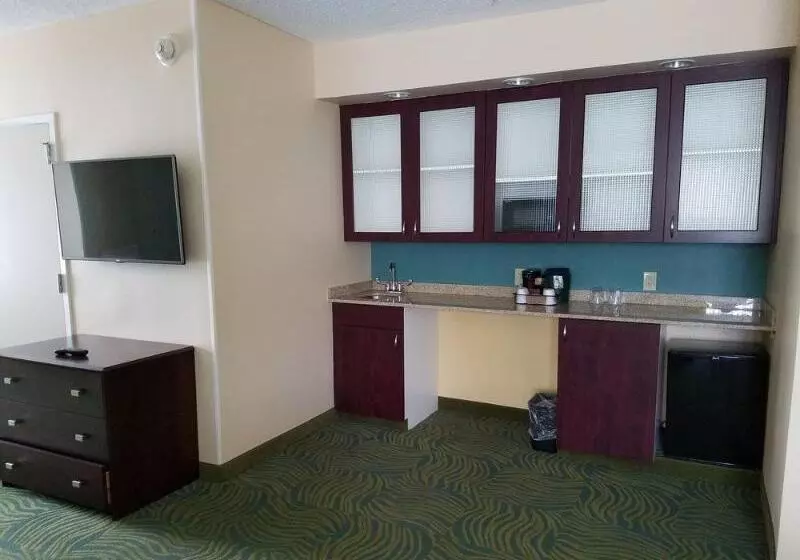 בית מלון כפרי Springhill Suites Gainesville