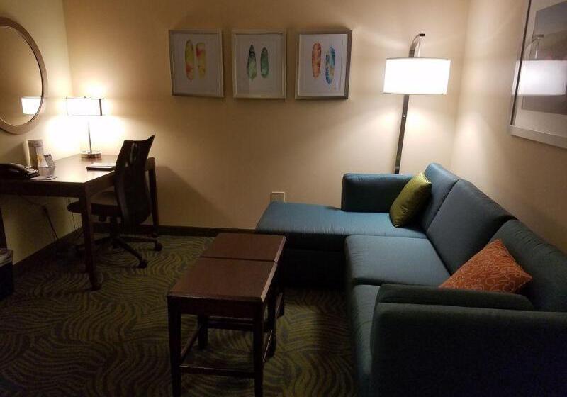 ホテル Springhill Suites Gainesville