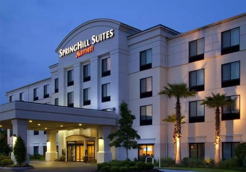 בית מלון כפרי Springhill Suites Gainesville