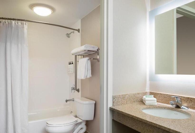 ホテル Springhill Suites Gainesville