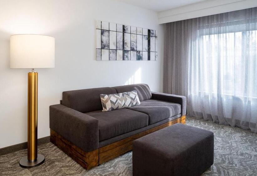 ホテル Springhill Suites Gainesville