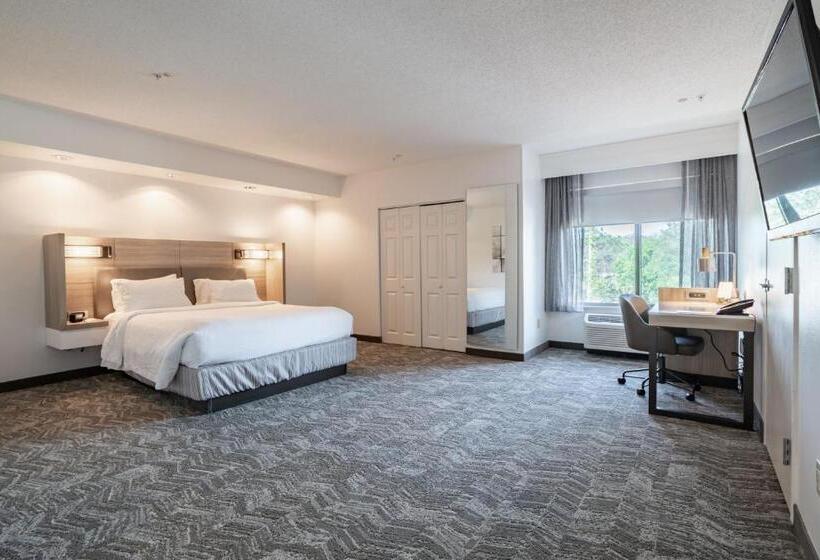 ホテル Springhill Suites Gainesville