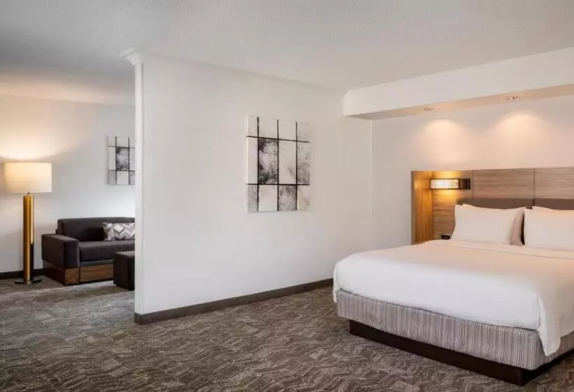 בית מלון כפרי Springhill Suites Gainesville