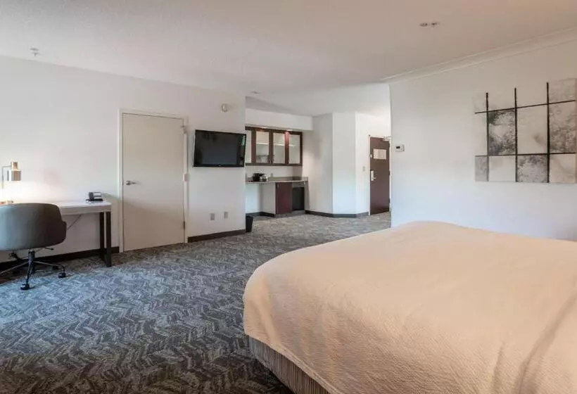 בית מלון כפרי Springhill Suites Gainesville