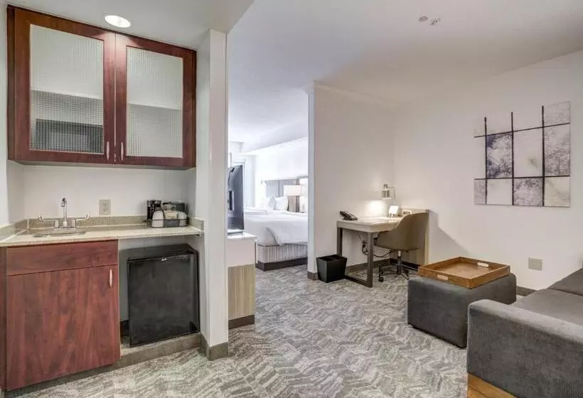 בית מלון כפרי Springhill Suites Gainesville